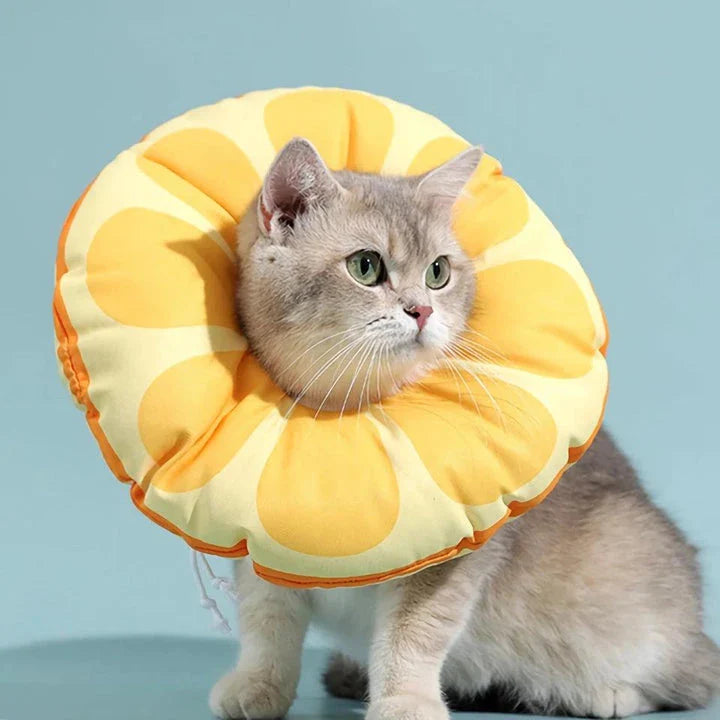 A vibrant orange fruit-shaped recovery collar for cats, designed to protect and comfort your pet during their healing process.