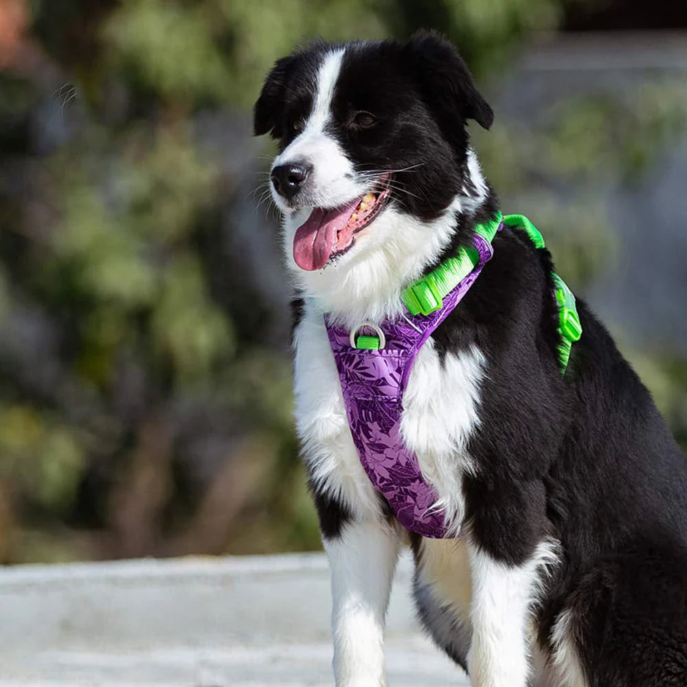 Premium explosion-proof reflective camouflage dog harness with aviation aluminium buckle for enhanced safety and visibility