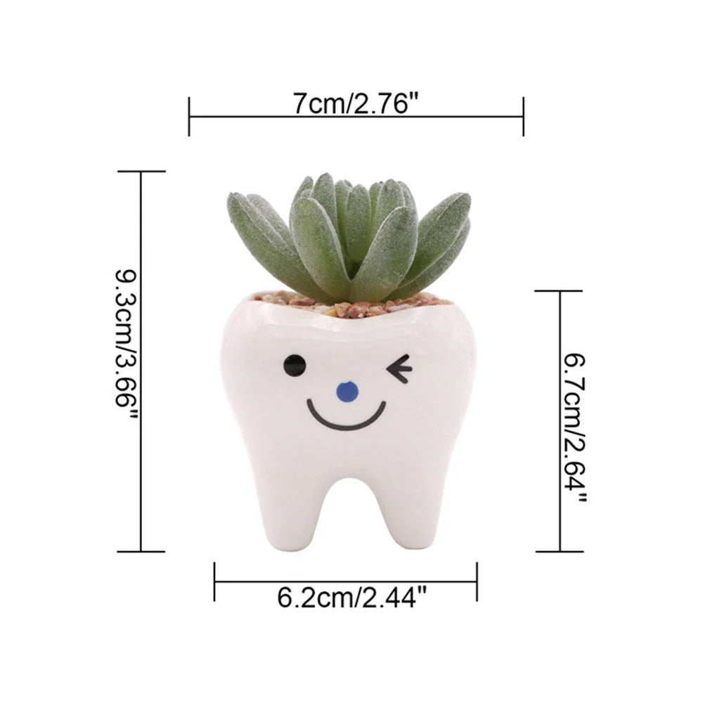 Charming ceramic tooth-shaped planter in white with glossy finish, perfect for succulents and cacti