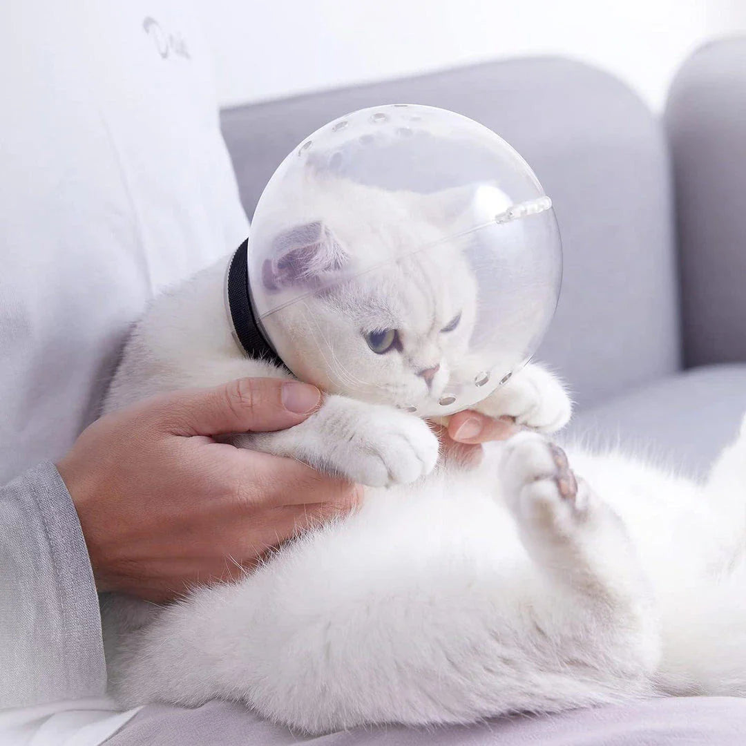 Transparent cat grooming hood made of durable, high-quality plastic to provide a stress-free grooming experience for your feline friend