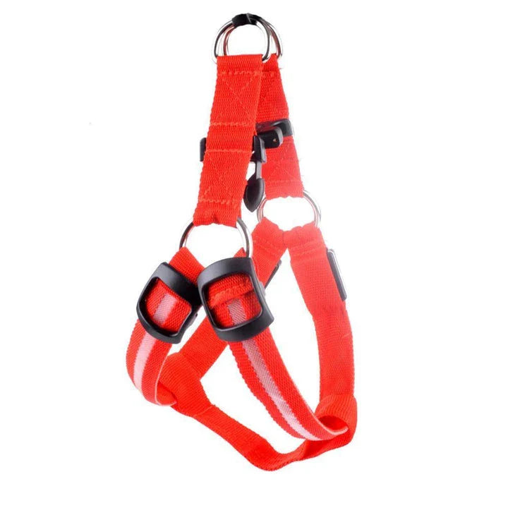 Luminous dog harness with orange colour and adjustable size options for dogs