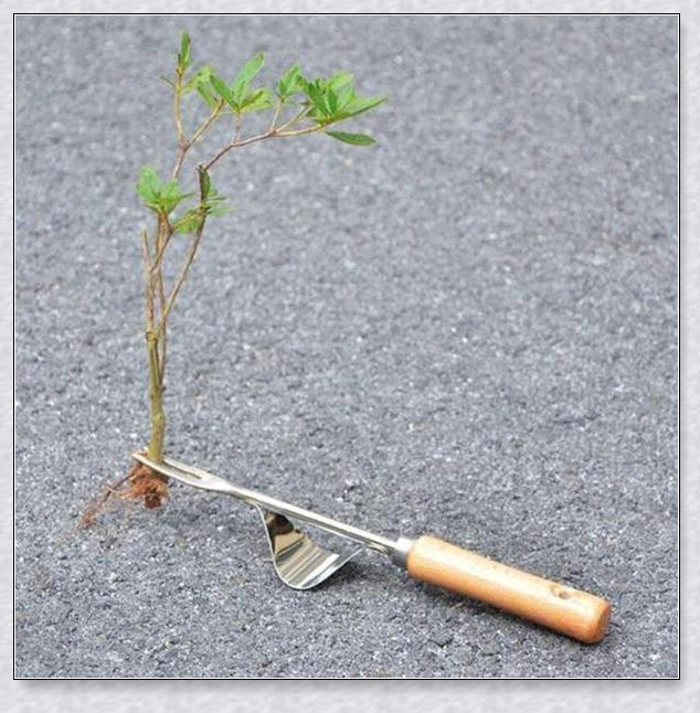 Premium British stainless steel manual weed puller with curved metal base and sharp forks for easy weed removal