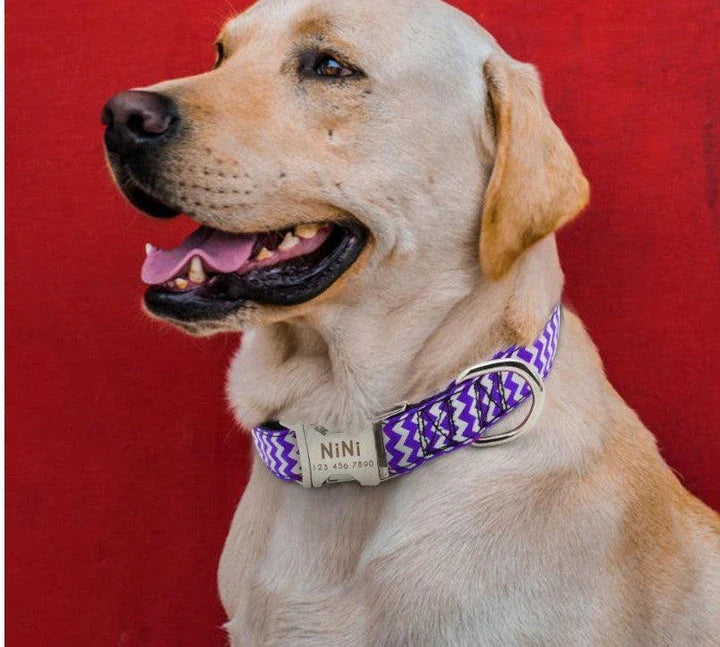 Zig-zag patterned dog collar made of durable nylon material, adjustable for a customised fit