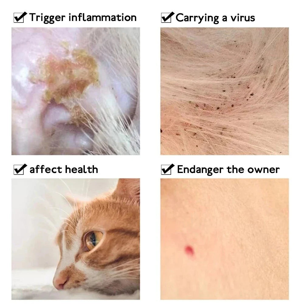A premium anti-flea and tick collar for small cats and dogs, providing 8 months of continuous protection with an adjustable and water-resistant design.