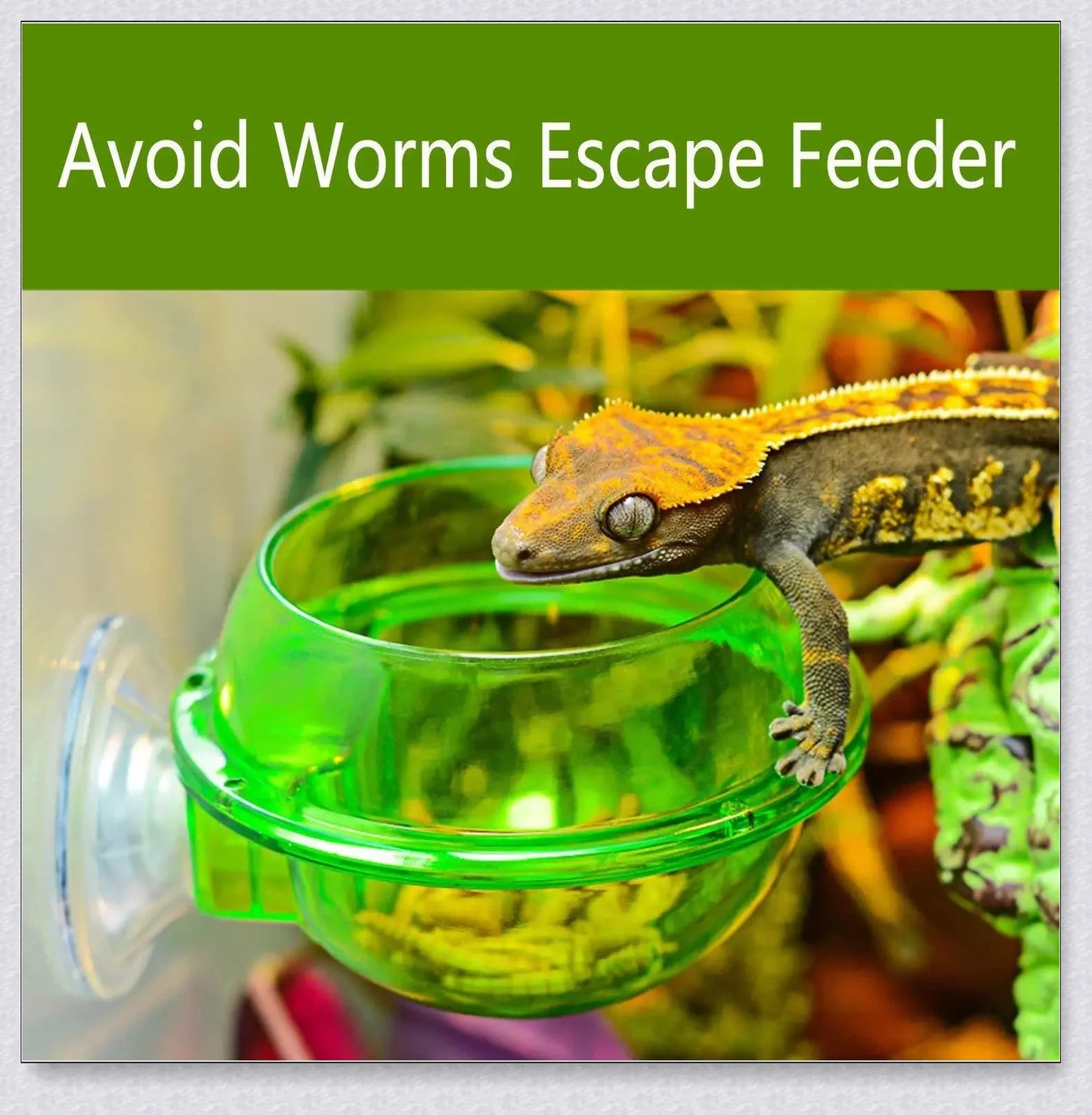 Premium Chameleon Lizard Suction Cup Feeder Set with soft, flexible suction cups for secure glass adhesion and durable construction