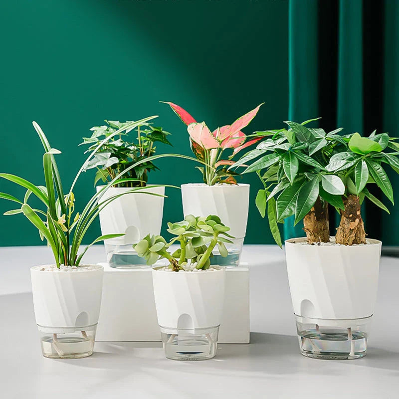 Stylish self-watering transparent planter with water level indicator and lush plant growth