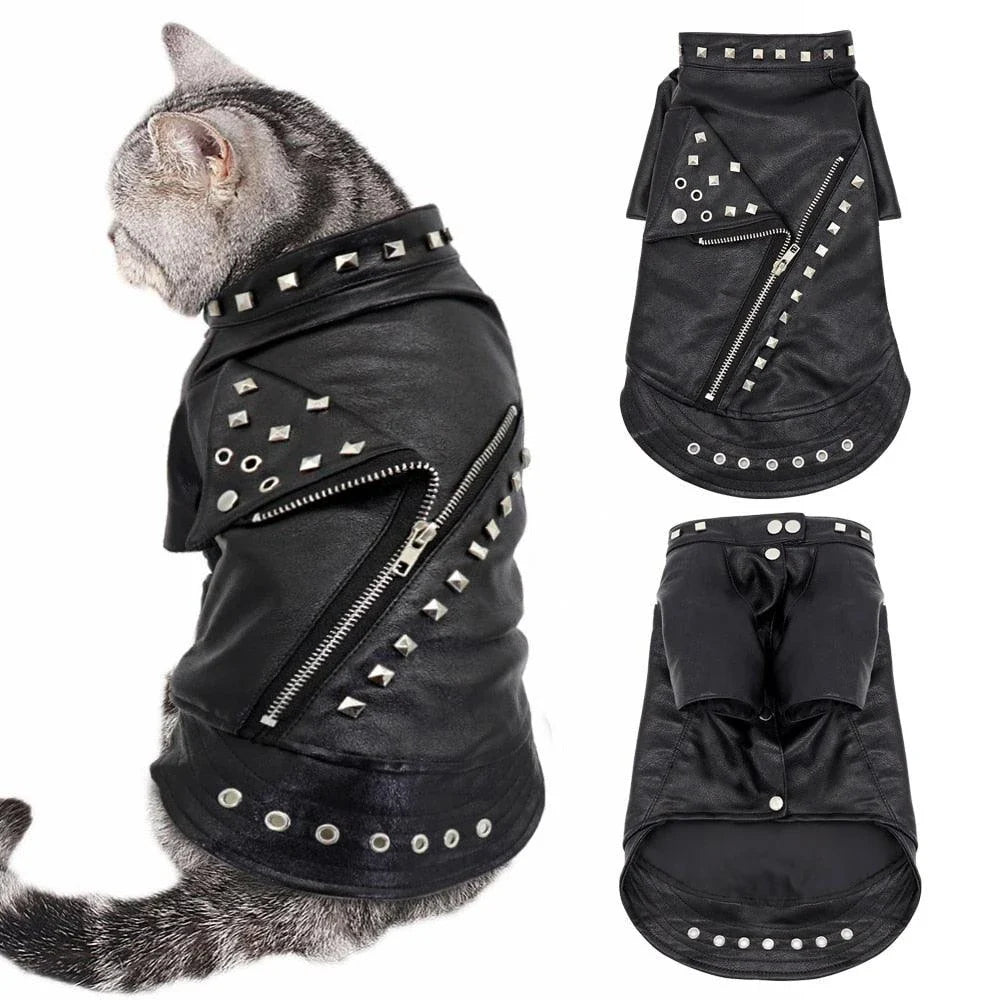 Premium black leather cat jacket with reinforced seams and a comfortable fit for stylish felines