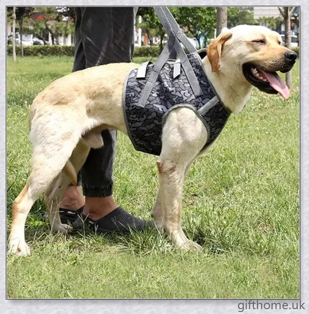 Full Body Supportive Dog Lift Harness with adjustable straps, handle, and leash rings for mobility assistance