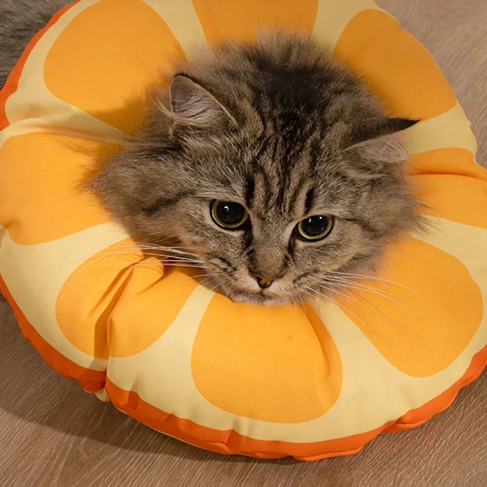 A vibrant orange fruit-shaped recovery collar for cats, designed to protect and comfort your pet during their healing process.