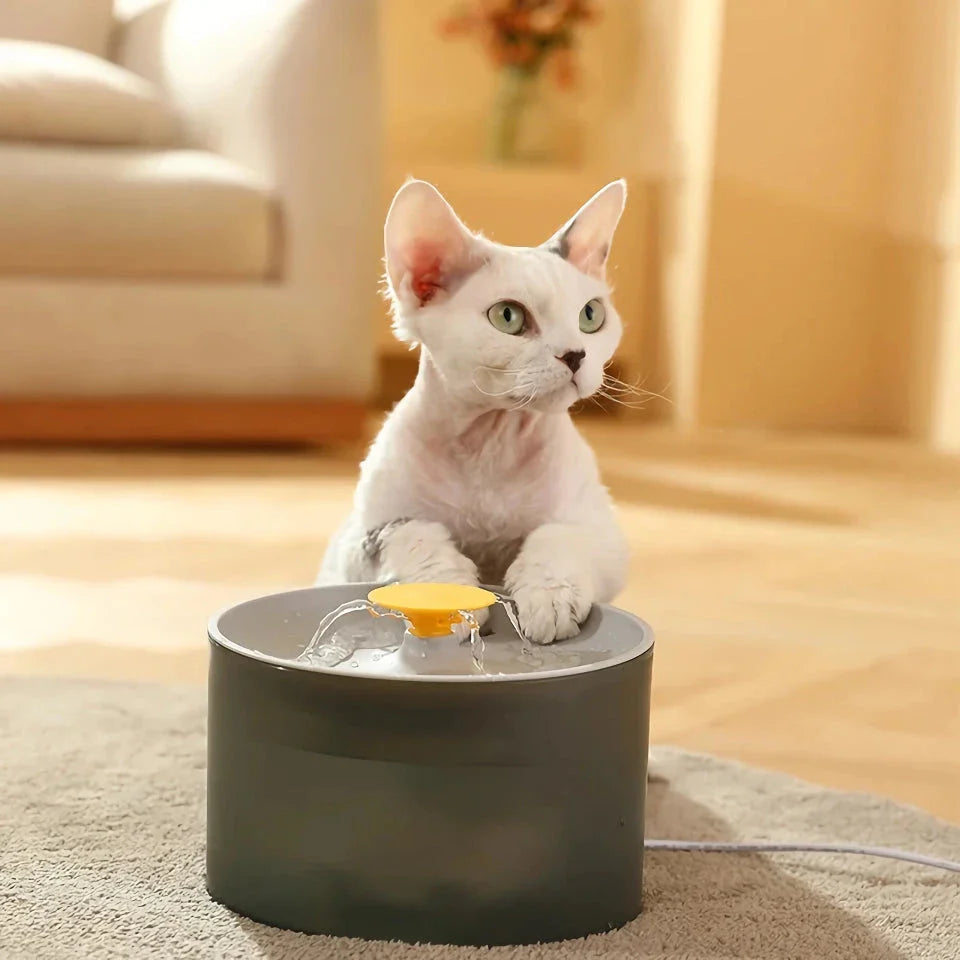 Madden Premium Automatic Pet Water Dispenser with smart circulation system for cats and dogs
