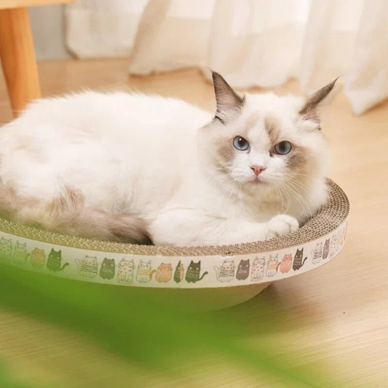 Durable Cat Scratcher Bed - Premium wooden construction, versatile design for feline relaxation and play