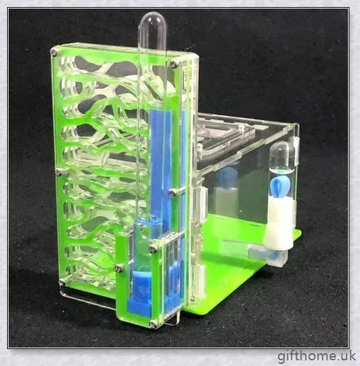 Ant Farm Nest: a captivating DIY project that allows you to observe ants constructing their intricate tunnels and nurturing their young