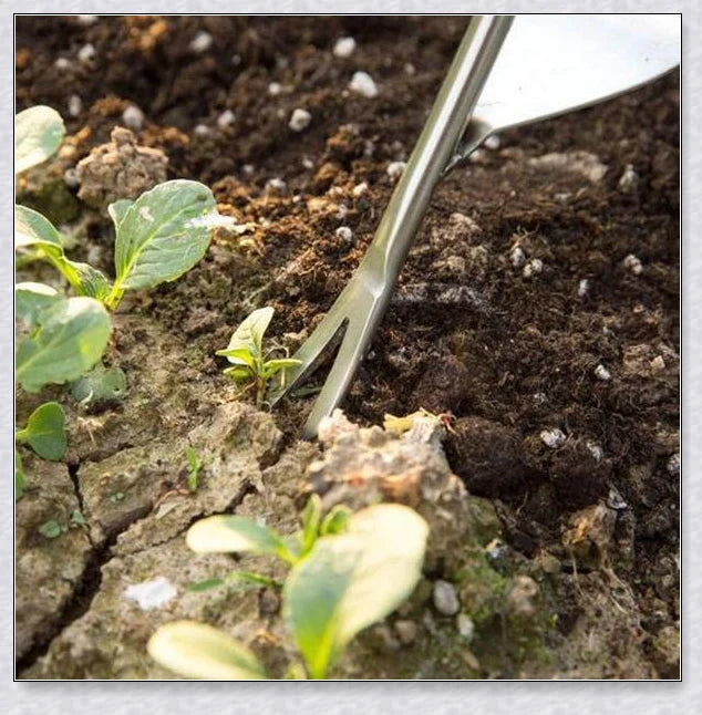 Premium British stainless steel manual weed puller with curved metal base and sharp forks for easy weed removal