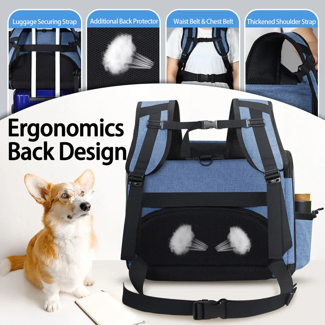 Airline-approved pet backpack carrier with breathable mesh windows, lockable zippers, and ergonomic design for comfortable pet travel
