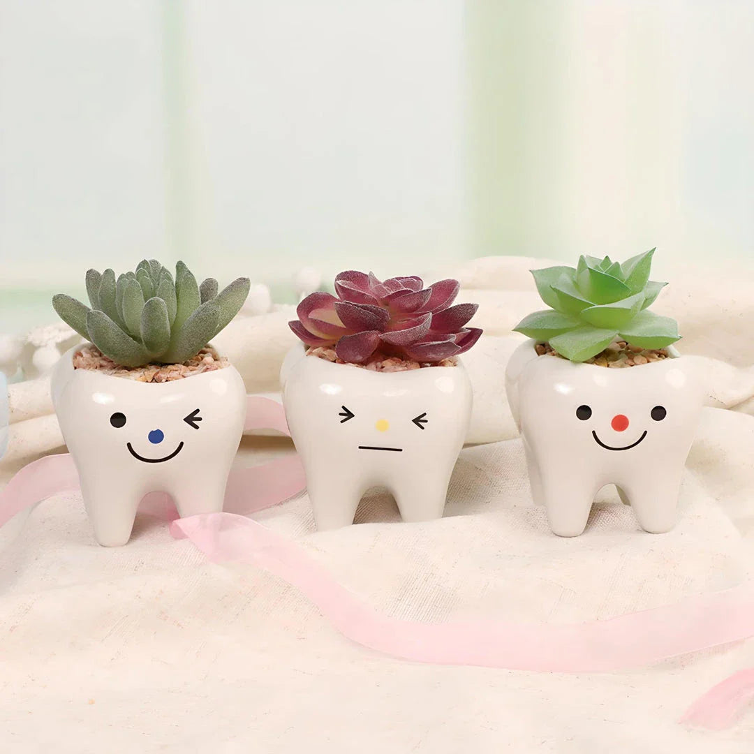 Charming ceramic tooth-shaped planter in white with glossy finish, perfect for succulents and cacti