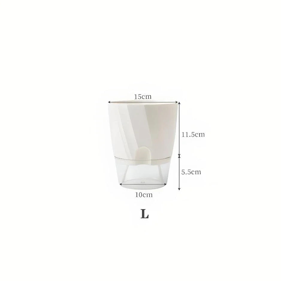 Stylish self-watering transparent planter with water level indicator and lush plant growth