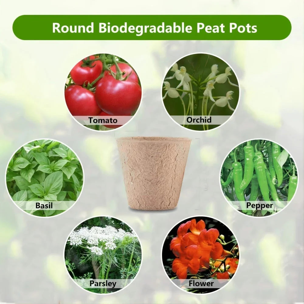 A set of 50 biodegradable paper nursery pots and plant labels for sustainable gardening