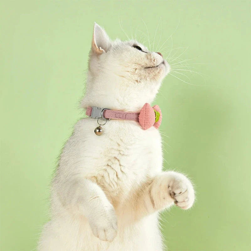 Stylish checkered pet collar with elegant butterfly knot decoration, perfect for dressing up cats and dogs