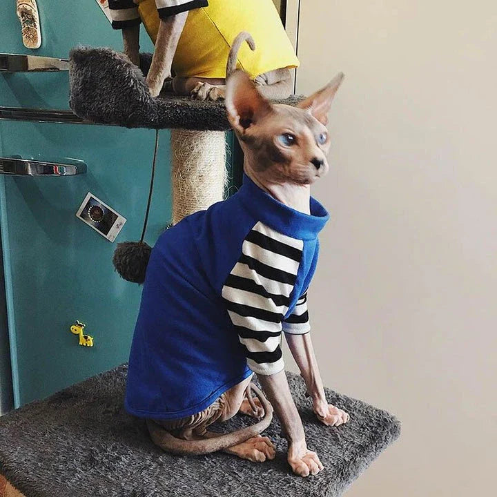 A stylish cotton sweater with a vibrant printed design and a coordinating necklace accessory, perfect for keeping your cat warm and fashionable.