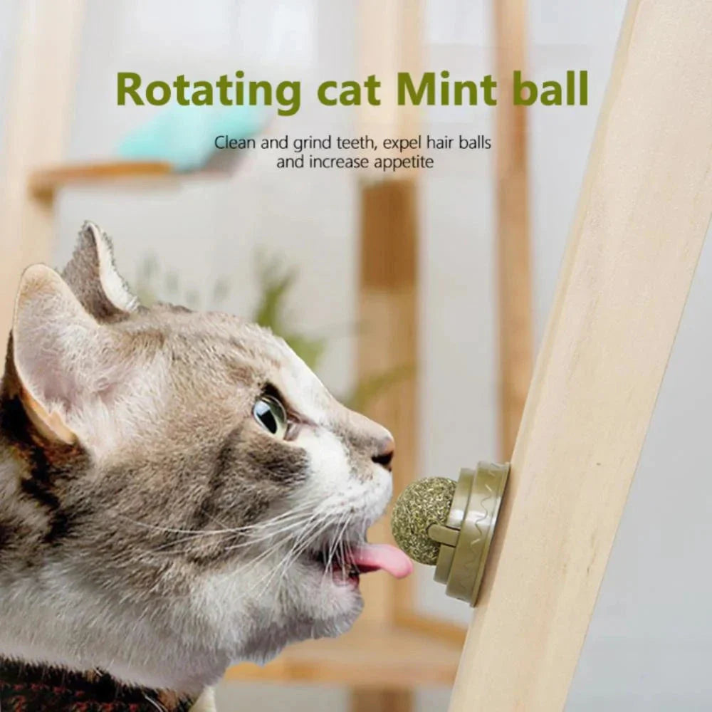 Dental Health Catnip Toy Balls in Blue, Pink, and Green colours for cats - Freshens breath, strengthens teeth, and provides interactive play