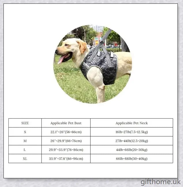 Full Body Supportive Dog Lift Harness with adjustable straps, handle, and leash rings for mobility assistance