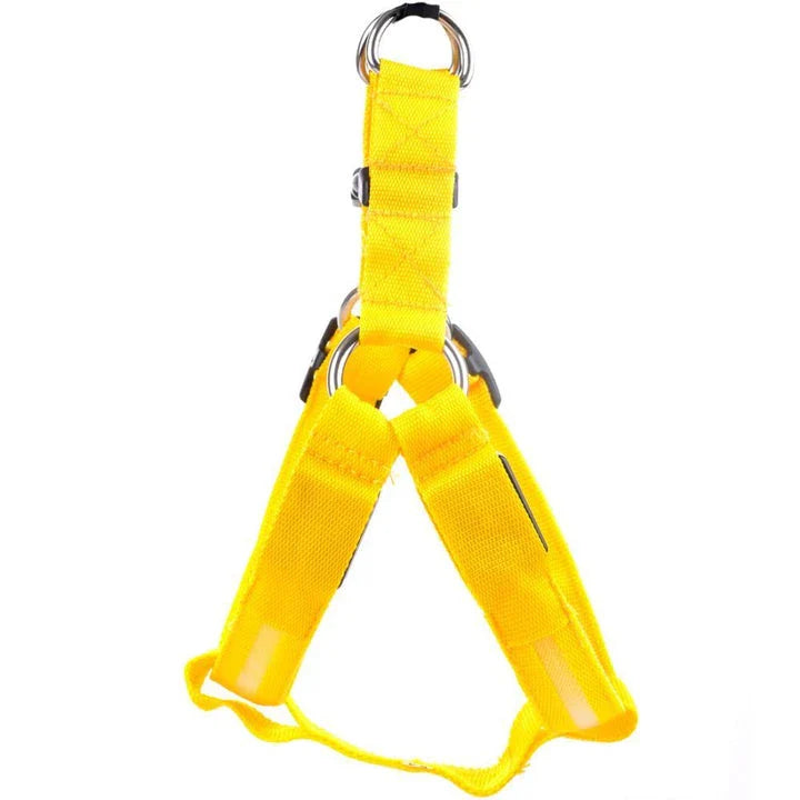 Luminous dog harness with orange colour and adjustable size options for dogs