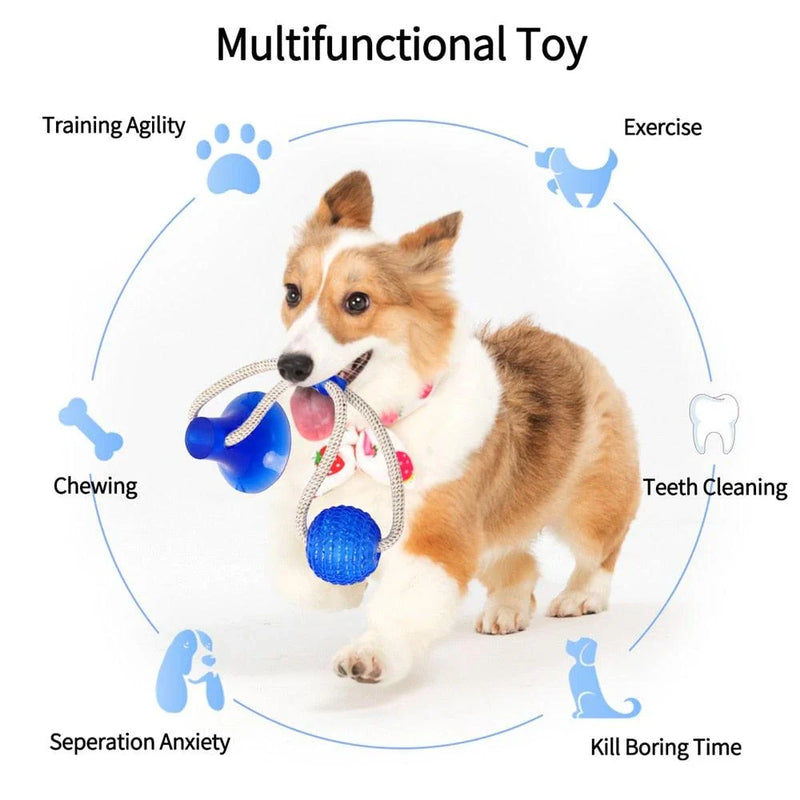 GiftHome UK Premium Dental Cleaning Chew Toy for Pets