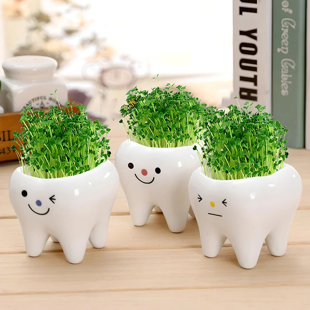 Charming ceramic tooth-shaped planter in white with glossy finish, perfect for succulents and cacti