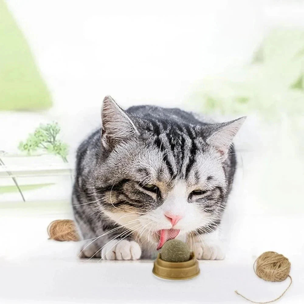 Dental Health Catnip Toy Balls in Blue, Pink, and Green colours for cats - Freshens breath, strengthens teeth, and provides interactive play