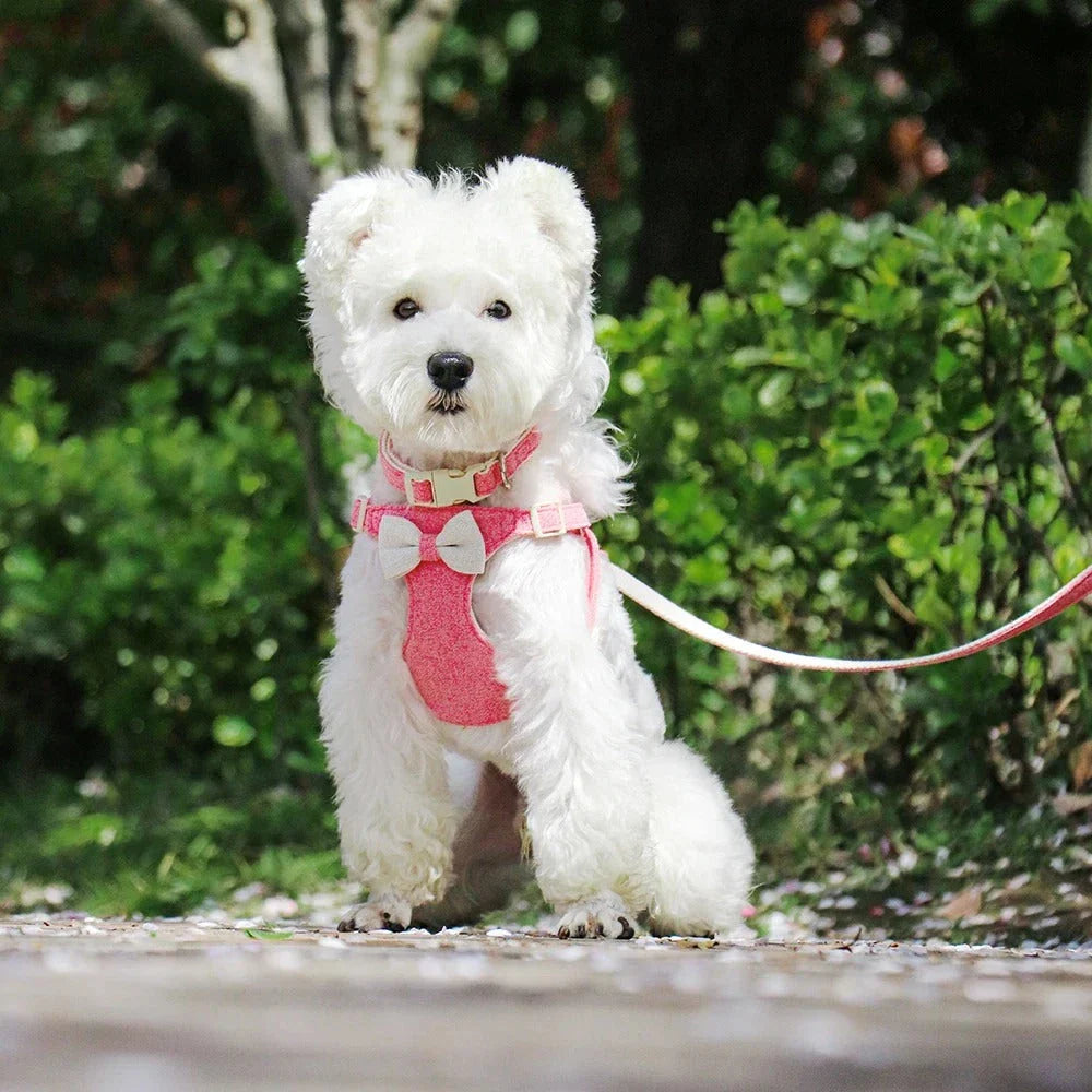 Adjustable bowtie collar, leash, and harness set for small and medium-sized pets in blue, green, pink, and red colours