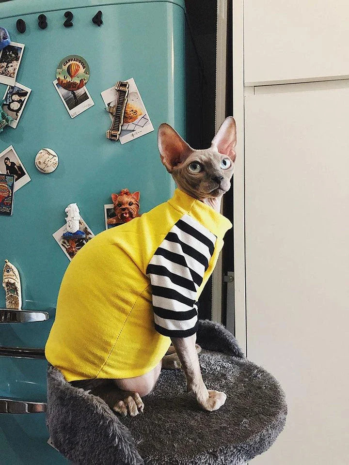 A stylish cotton sweater with a vibrant printed design and a coordinating necklace accessory, perfect for keeping your cat warm and fashionable.