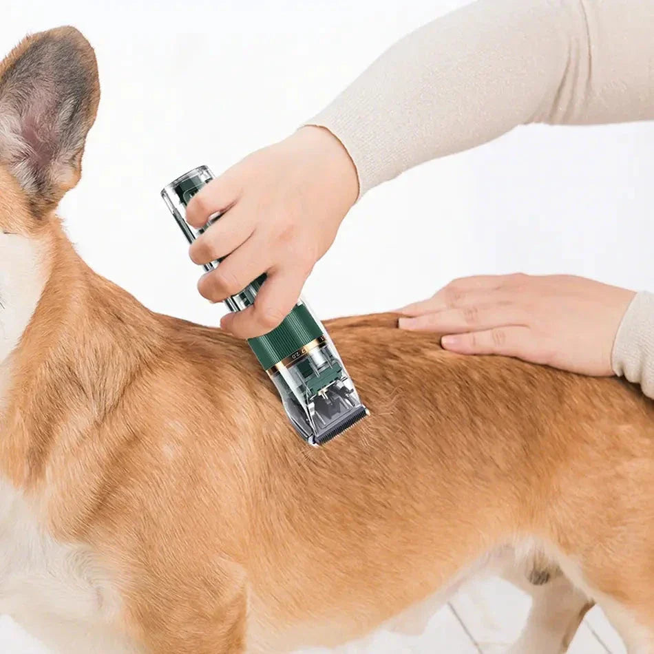 A professional pet hair trimmer with premium stainless steel blades and adjustable settings for customised grooming