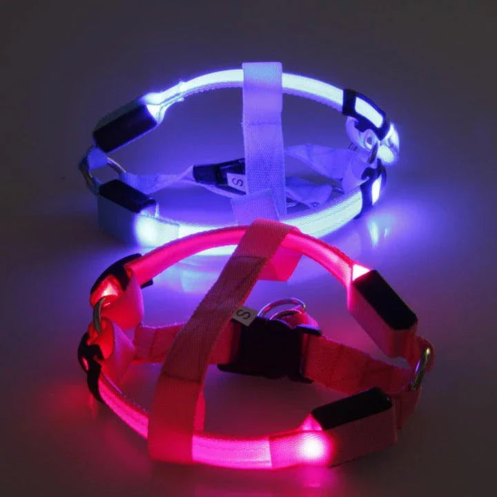 Luminous dog harness with orange colour and adjustable size options for dogs