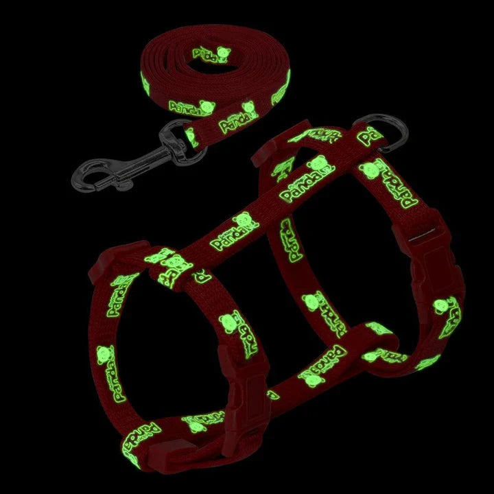 Luminous cat harness and leash set with glow-in-the-dark design for nighttime walks