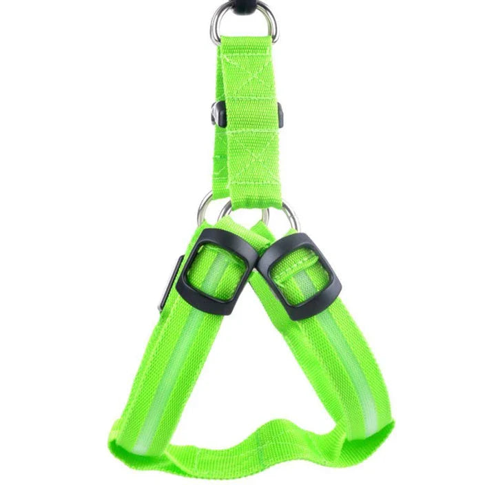 Luminous dog harness with orange colour and adjustable size options for dogs