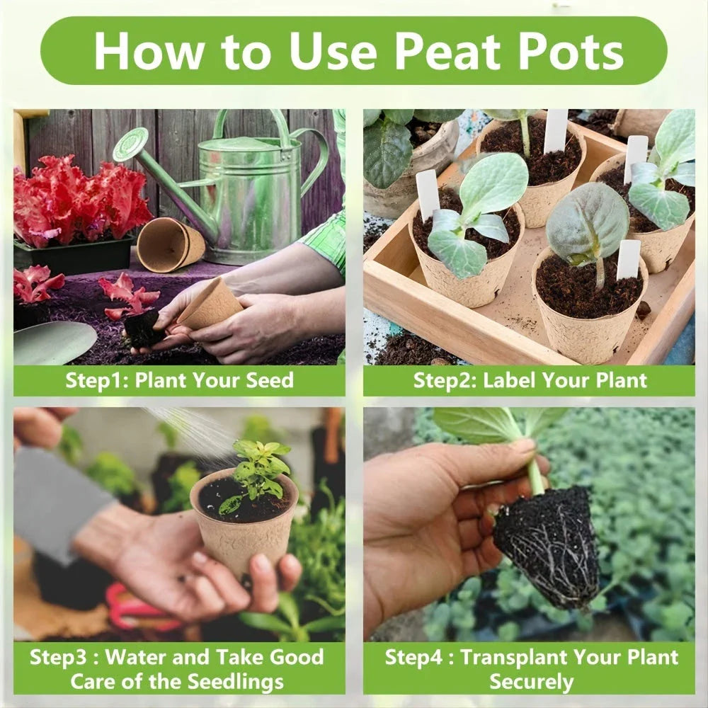 A set of 50 biodegradable paper nursery pots and plant labels for sustainable gardening