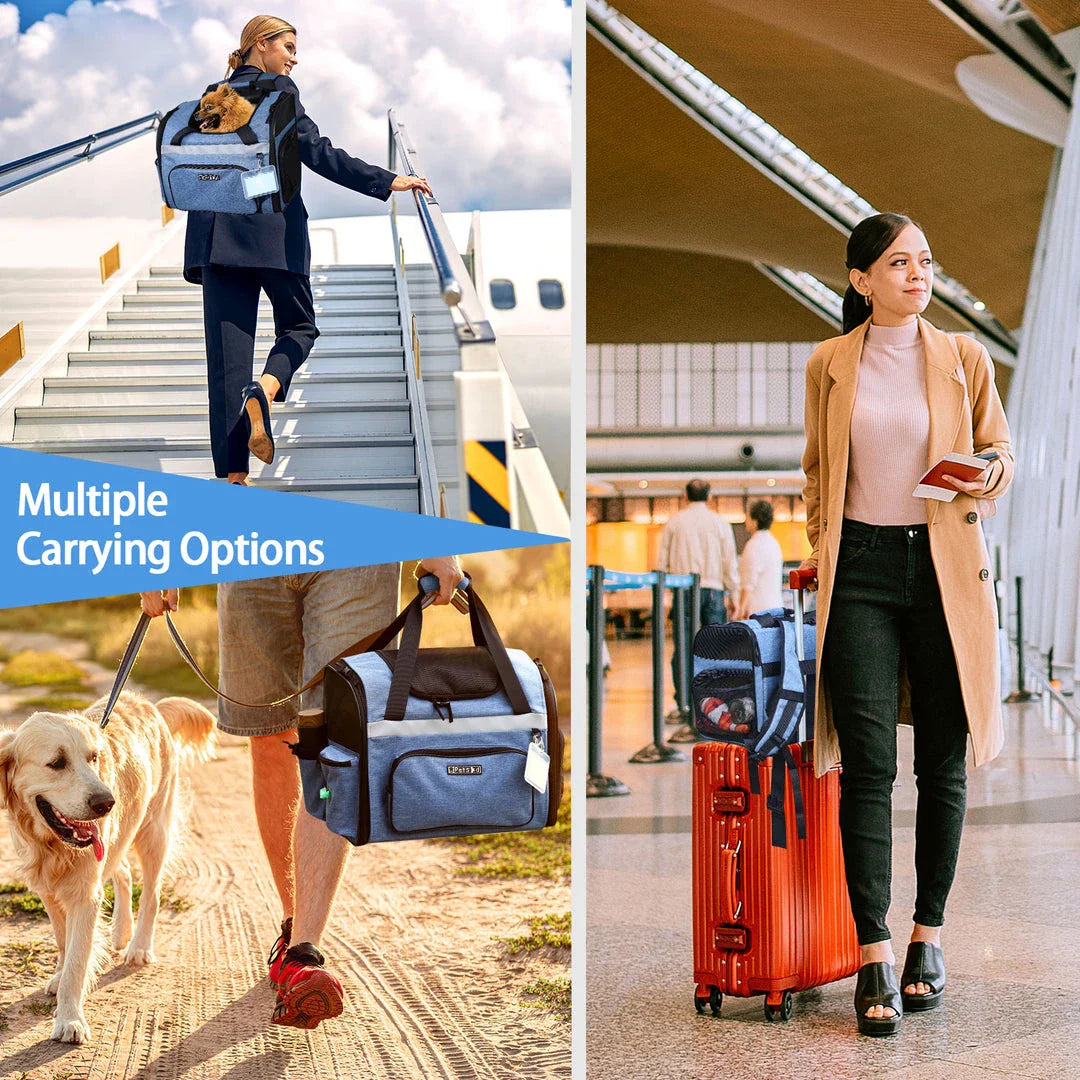 Airline-approved pet backpack carrier with breathable mesh windows, lockable zippers, and ergonomic design for comfortable pet travel