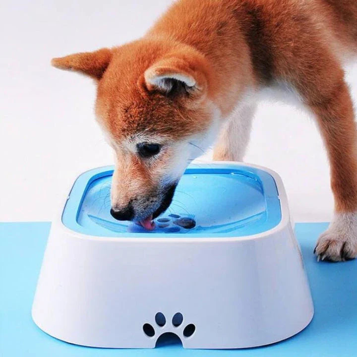 Trendha 1.5L Square Pet Water Bowl in blue colour, featuring a stylish design and raised edges to minimise water splashes
