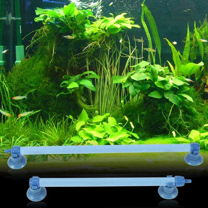 Premium aquarium oxygen diffusers in various sizes for optimal aeration and healthy aquatic environments