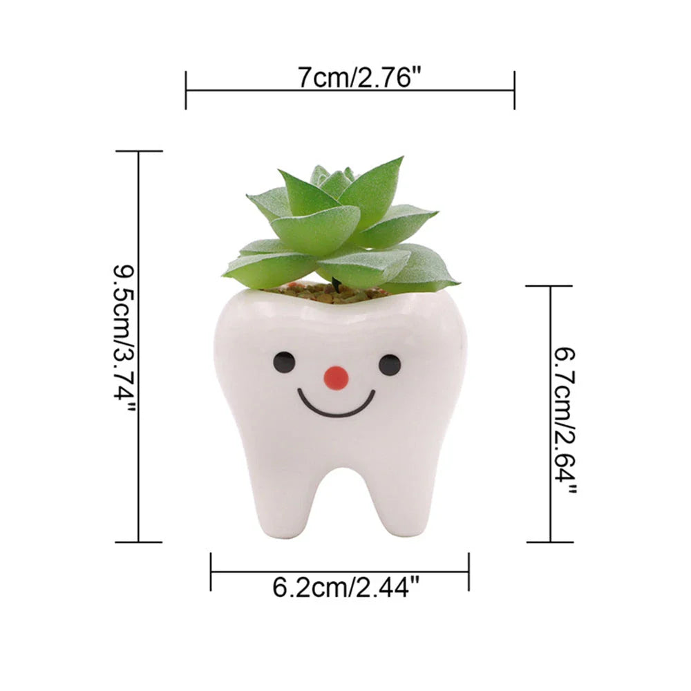Charming ceramic tooth-shaped planter in white with glossy finish, perfect for succulents and cacti