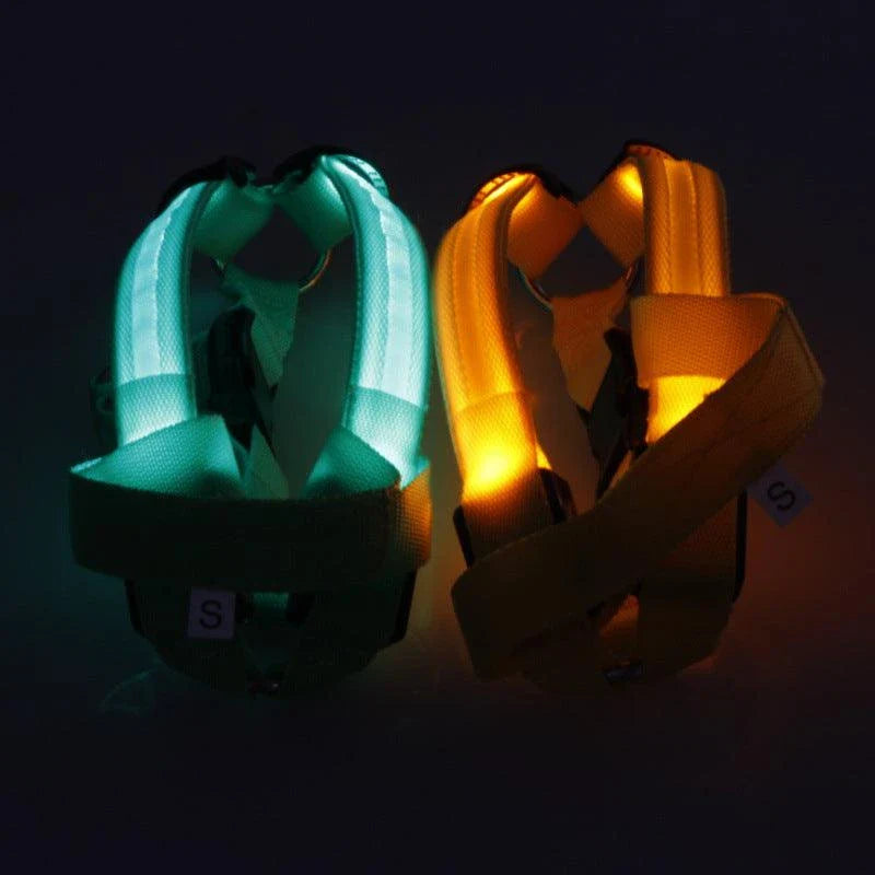 Luminous dog harness with orange colour and adjustable size options for dogs