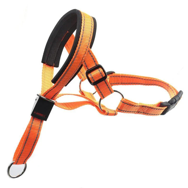 Reflective nylon dog muzzle and leash set in orange colour, designed for safe and controlled walks with your canine companion