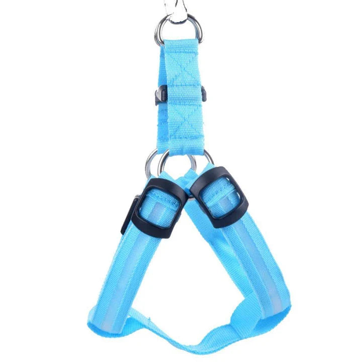Luminous dog harness with orange colour and adjustable size options for dogs