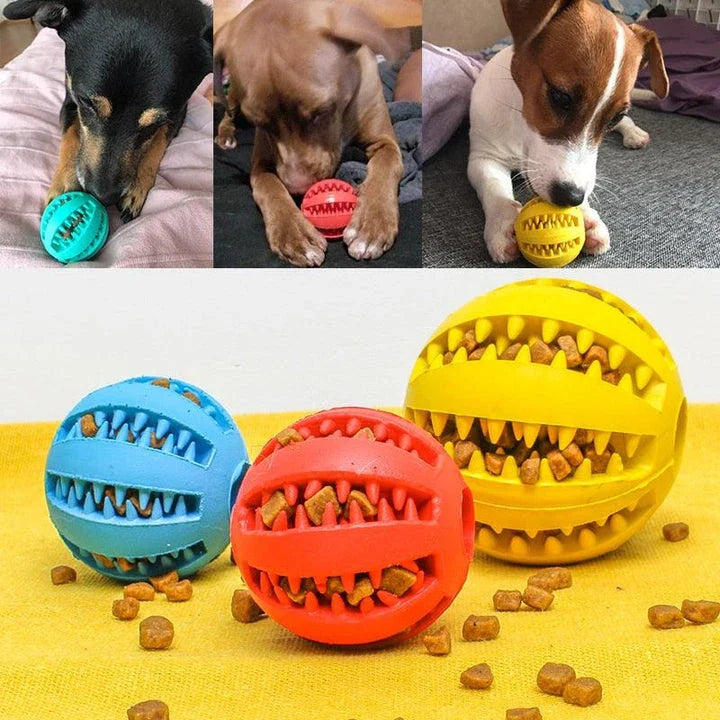 Premium natural rubber interactive ball for dogs in various colours, designed to provide mental stimulation and physical exercise.