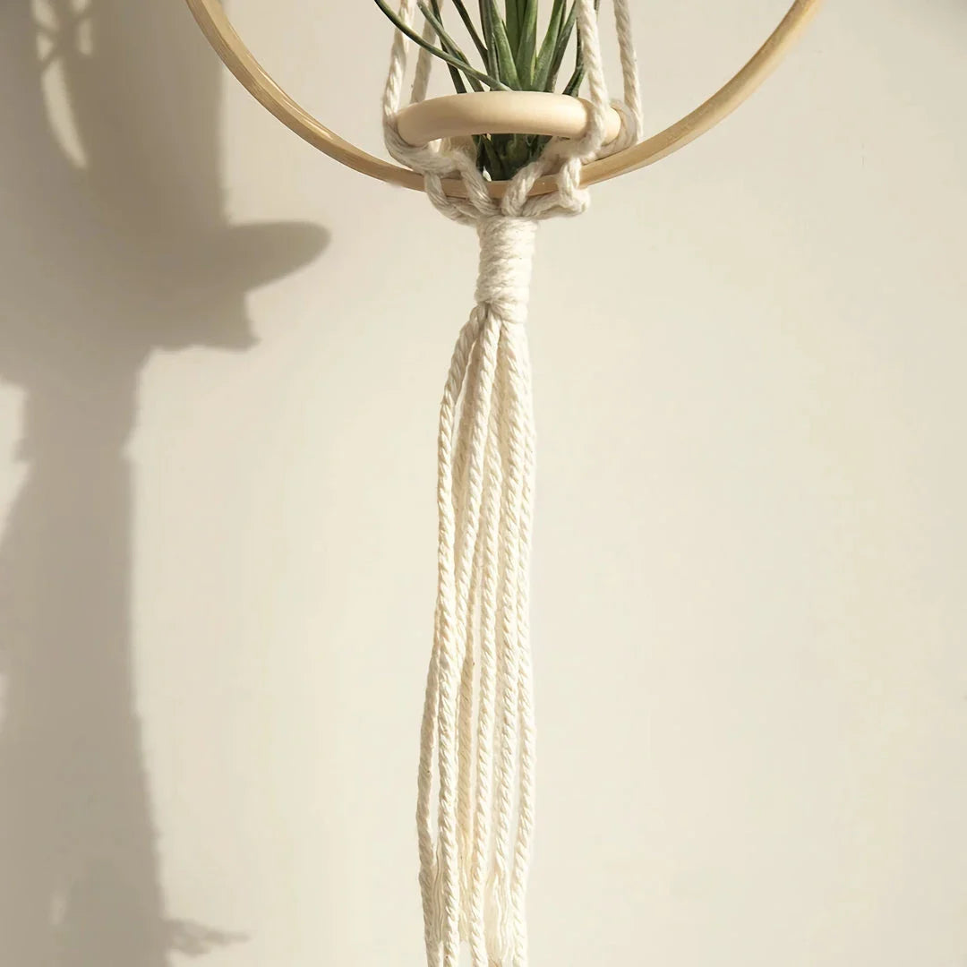A macrame air plant hanging holder with a chic, boho-inspired design, perfect for adding organic texture and soothing vibes to any room.
