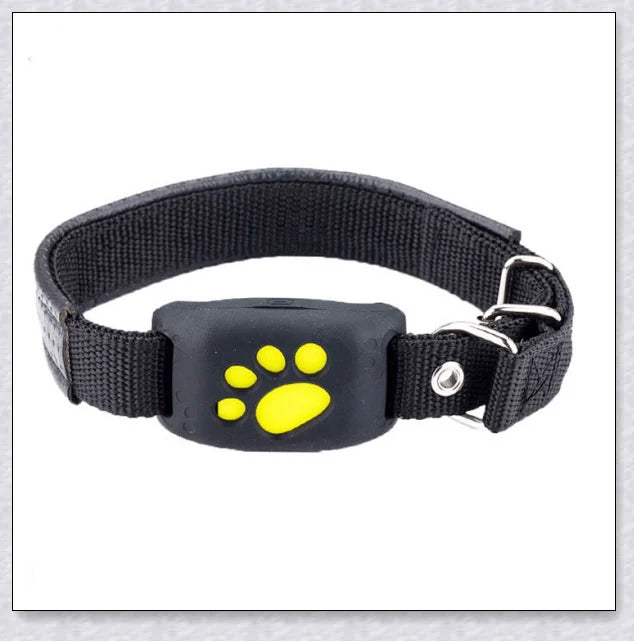 Premium GPS Cat Collar with real-time location tracking, waterproof design, and 'Geofence' safety features to safeguard your cat