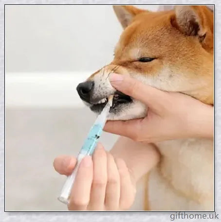 Dog Teeth Plaque Removing Pens - Premium dental cleaning system for dogs with dual-pen design and all-natural ingredients
