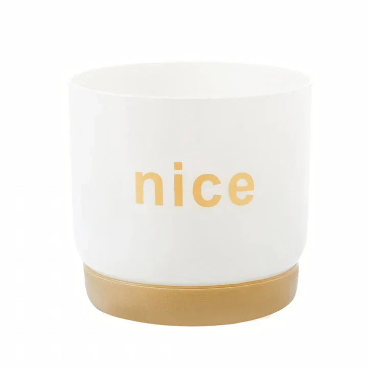 Stylish self-watering planters in various sizes for indoor plants, succulents, and flowers