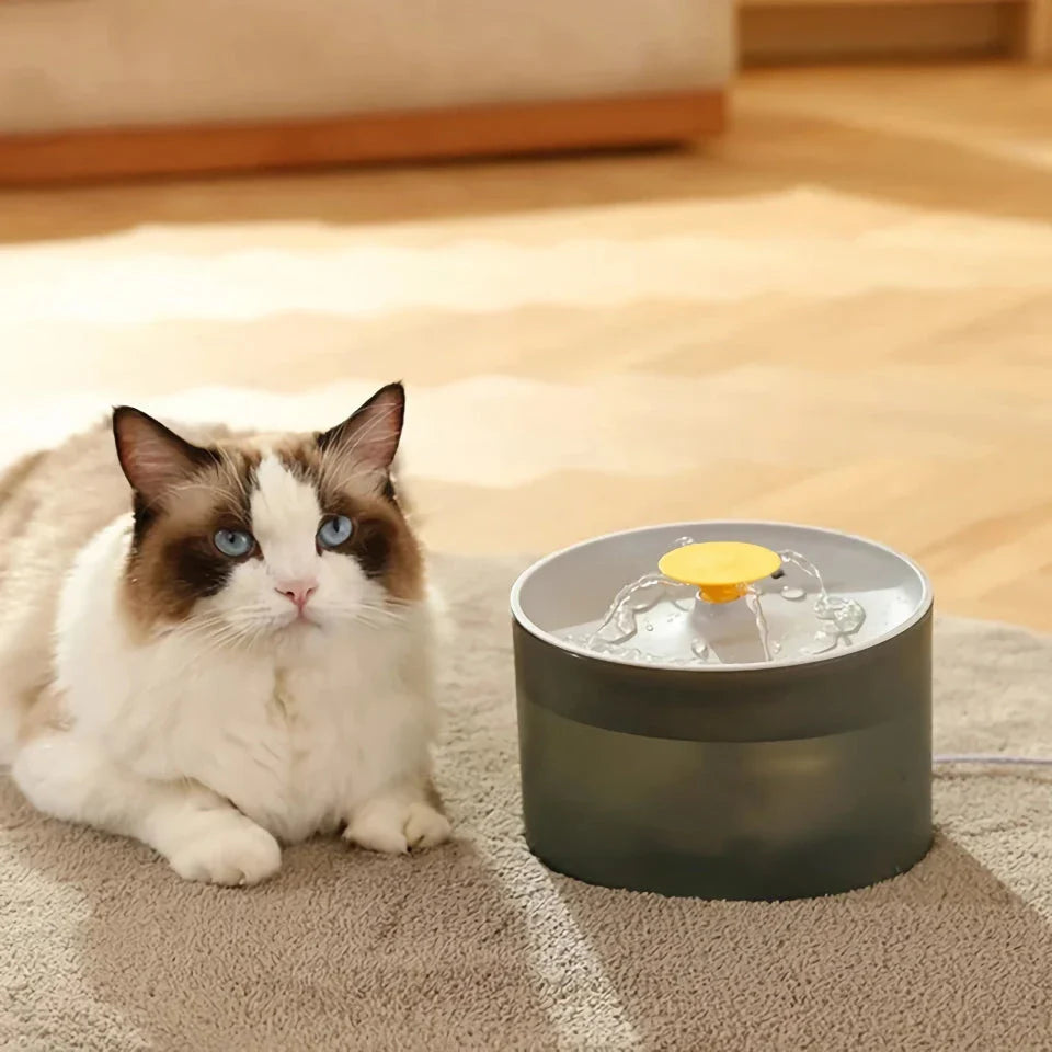 Premium automatic pet water dispenser with smart circulation and non-wet mouth design for cats and dogs