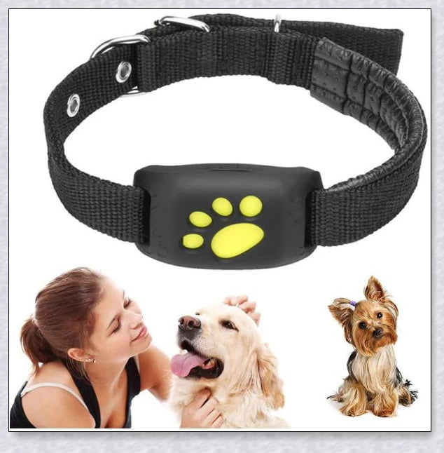 Premium GPS Cat Collar with real-time location tracking, waterproof design, and 'Geofence' safety features to safeguard your cat